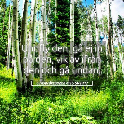 Picture 05 - Ordspråksboken 4:15 SV1917 - Undfly den, gå ej in på den, vik av ifrån den - Bible Verse Picture