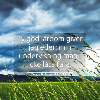 Picture 05 - Ordspråksboken 4:2 SV1917 - Ty god lärdom giver jag eder; min undervisning - Bible Verse Picture