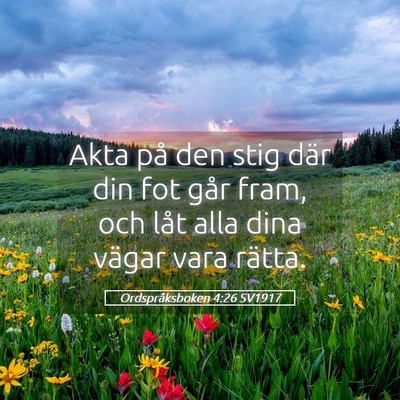 Picture 05 - Ordspråksboken 4:26 SV1917 - Akta på den stig där din fot går fram, och - Bible Verse Picture