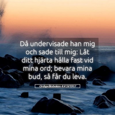 Picture 05 - Ordspråksboken 4:4 SV1917 - Då undervisade han mig och sade till mig: Låt - Bible Verse Picture