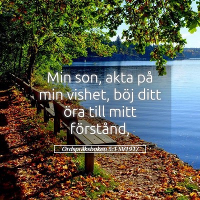 Picture 05 - Ordspråksboken 5:1 SV1917 - Min son, akta på min vishet, böj ditt öra till - Bible Verse Picture