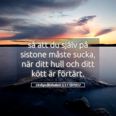 Picture 05 - Ordspråksboken 5:11 SV1917 - så att du själv på sistone måste sucka, när - Bible Verse Picture
