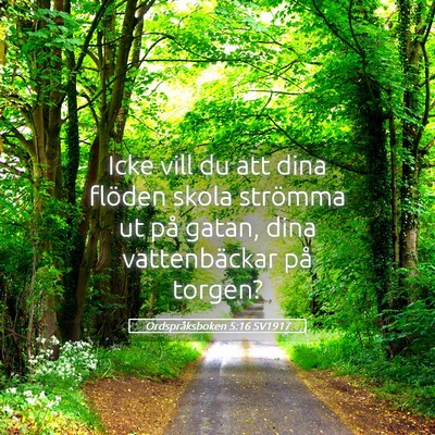 Picture 05 - Ordspråksboken 5:16 SV1917 - Icke vill du att dina flöden skola strömma ut - Bible Verse Picture