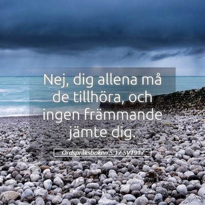 Picture 05 - Ordspråksboken 5:17 SV1917 - Nej, dig allena må de tillhöra, och ingen - Bible Verse Picture