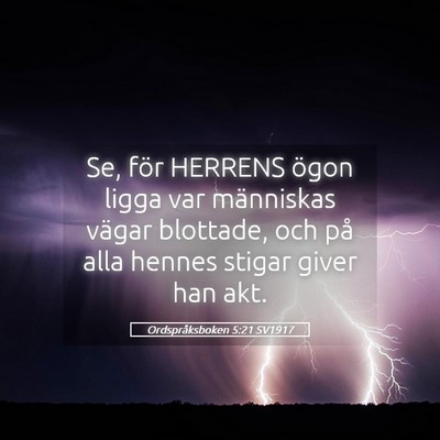 Picture 05 - Ordspråksboken 5:21 SV1917 - Se, för HERRENS ögon ligga var människas - Bible Verse Picture