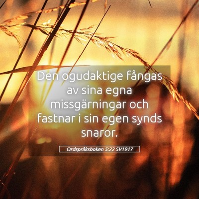 Picture 05 - Ordspråksboken 5:22 SV1917 - Den ogudaktige fångas av sina egna - Bible Verse Picture