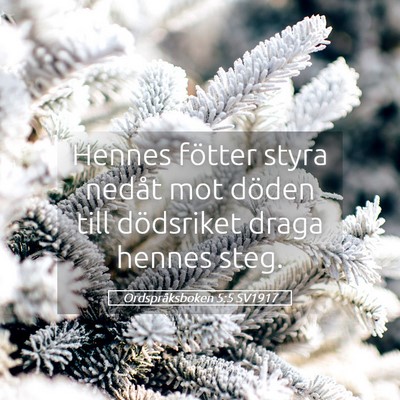 Picture 05 - Ordspråksboken 5:5 SV1917 - Hennes fötter styra nedåt mot döden till - Bible Verse Picture