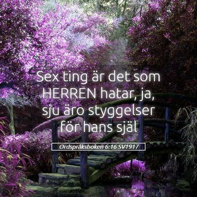 Picture 05 - Ordspråksboken 6:16 SV1917 - Sex ting är det som HERREN hatar, ja, sju äro - Bible Verse Picture