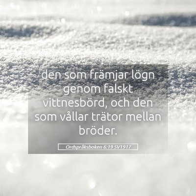 Picture 05 - Ordspråksboken 6:19 SV1917 - den som främjar lögn genom falskt vittnesbörd, - Bible Verse Picture