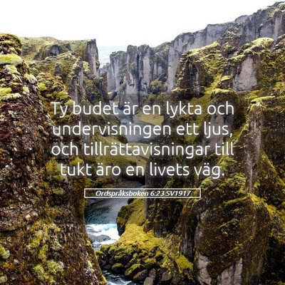 Picture 05 - Ordspråksboken 6:23 SV1917 - Ty budet är en lykta och undervisningen ett - Bible Verse Picture