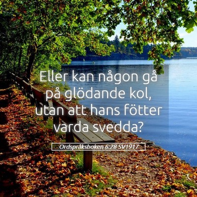 Picture 05 - Ordspråksboken 6:28 SV1917 - Eller kan någon gå på glödande kol, utan att - Bible Verse Picture