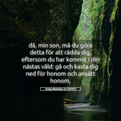 Picture 05 - Ordspråksboken 6:3 SV1917 - då, min son, må du göra detta för att rädda - Bible Verse Picture