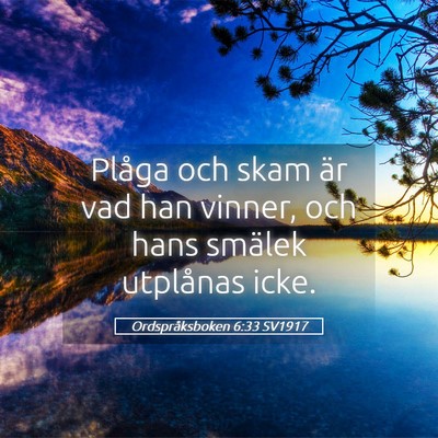 Picture 05 - Ordspråksboken 6:33 SV1917 - Plåga och skam är vad han vinner, och hans - Bible Verse Picture