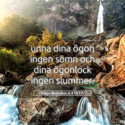 Picture 05 - Ordspråksboken 6:4 SV1917 - unna dina ögon ingen sömn och dina ögonlock - Bible Verse Picture