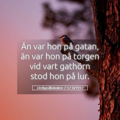 Picture 05 - Ordspråksboken 7:12 SV1917 - Än var hon på gatan, än var hon på torgen vid - Bible Verse Picture