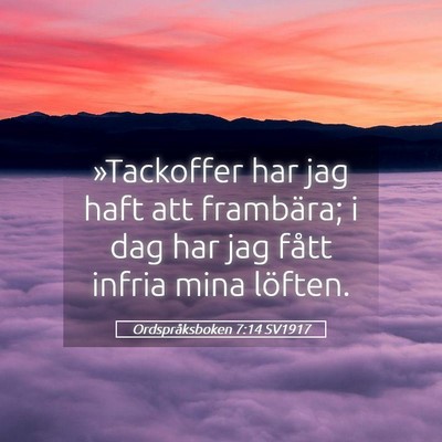 Picture 05 - Ordspråksboken 7:14 SV1917 - »Tackoffer har jag haft att frambära; i dag har - Bible Verse Picture