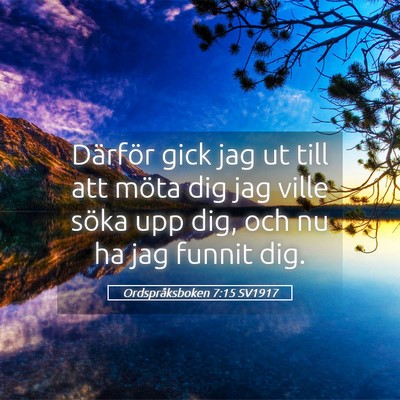 Picture 05 - Ordspråksboken 7:15 SV1917 - Därför gick jag ut till att möta dig jag ville - Bible Verse Picture