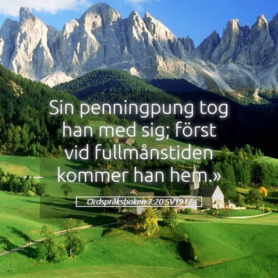 Picture 05 - Ordspråksboken 7:20 SV1917 - Sin penningpung tog han med sig; först vid - Bible Verse Picture