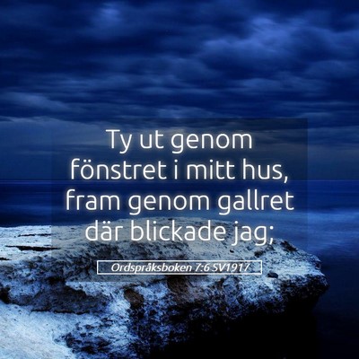 Picture 05 - Ordspråksboken 7:6 SV1917 - Ty ut genom fönstret i mitt hus, fram genom - Bible Verse Picture