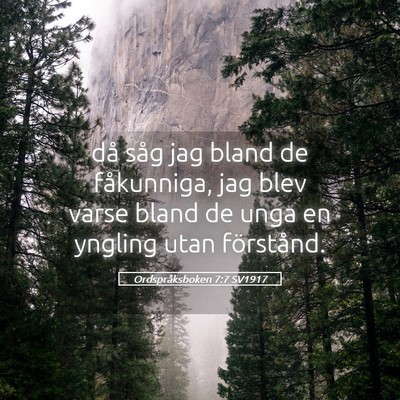 Picture 05 - Ordspråksboken 7:7 SV1917 - då såg jag bland de fåkunniga, jag blev varse - Bible Verse Picture