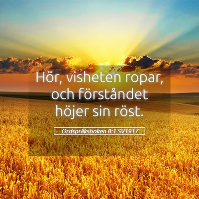 Picture 05 - Ordspråksboken 8:1 SV1917 - Hör, visheten ropar, och förståndet höjer sin - Bible Verse Picture
