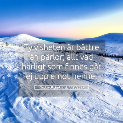 Picture 05 - Ordspråksboken 8:11 SV1917 - Ty visheten är bättre än pärlor; allt vad - Bible Verse Picture