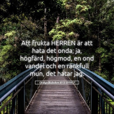 Picture 05 - Ordspråksboken 8:13 SV1917 - Att frukta HERREN är att hata det onda; ja, - Bible Verse Picture