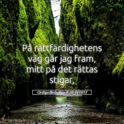 Picture 05 - Ordspråksboken 8:20 SV1917 - På rättfärdighetens väg går jag fram, mitt - Bible Verse Picture