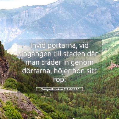 Picture 05 - Ordspråksboken 8:3 SV1917 - Invid portarna, vid ingången till staden där - Bible Verse Picture