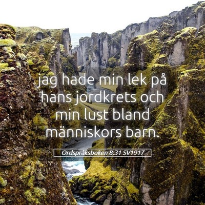 Picture 05 - Ordspråksboken 8:31 SV1917 - jag hade min lek på hans jordkrets och min lust - Bible Verse Picture