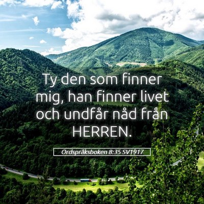 Picture 05 - Ordspråksboken 8:35 SV1917 - Ty den som finner mig, han finner livet och - Bible Verse Picture