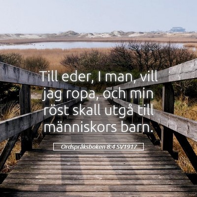 Picture 05 - Ordspråksboken 8:4 SV1917 - Till eder, I man, vill jag ropa, och min röst - Bible Verse Picture