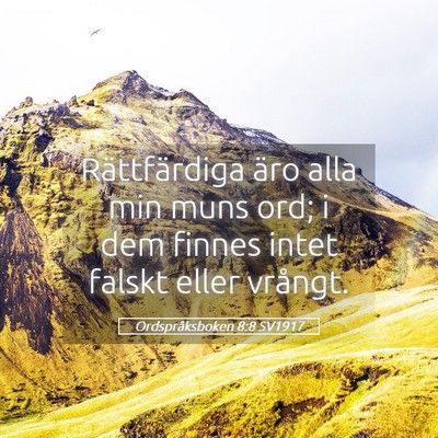 Picture 05 - Ordspråksboken 8:8 SV1917 - Rättfärdiga äro alla min muns ord; i dem - Bible Verse Picture