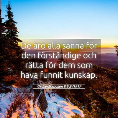 Picture 05 - Ordspråksboken 8:9 SV1917 - De äro alla sanna för den förståndige och - Bible Verse Picture