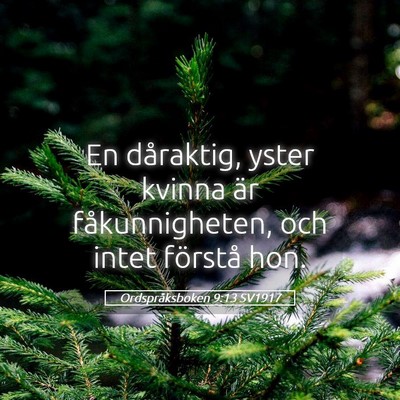 Picture 05 - Ordspråksboken 9:13 SV1917 - En dåraktig, yster kvinna är fåkunnigheten, - Bible Verse Picture