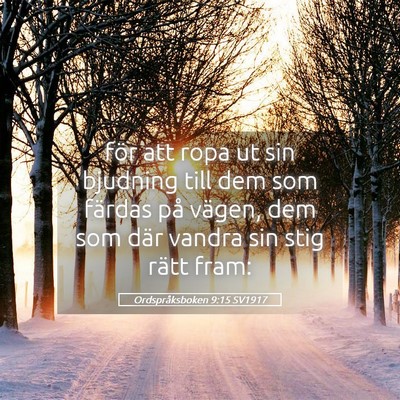 Picture 05 - Ordspråksboken 9:15 SV1917 - för att ropa ut sin bjudning till dem som - Bible Verse Picture