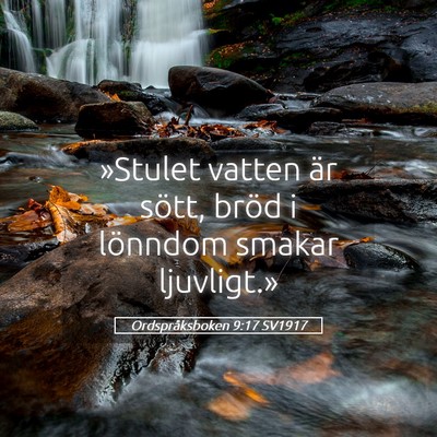 Picture 05 - Ordspråksboken 9:17 SV1917 - »Stulet vatten är sött, bröd i lönndom - Bible Verse Picture