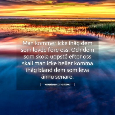 Picture 05 - Predikaren 1:11 SV1917 - Man kommer icke ihåg dem som levde före oss. - Bible Verse Picture