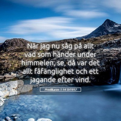 Picture 05 - Predikaren 1:14 SV1917 - När jag nu såg på allt vad som händer under - Bible Verse Picture