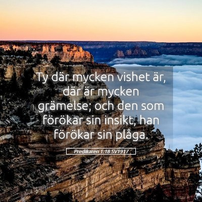 Picture 05 - Predikaren 1:18 SV1917 - Ty där mycken vishet är, där är mycken - Bible Verse Picture