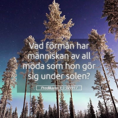 Picture 05 - Predikaren 1:3 SV1917 - Vad förmån har människan av all möda som hon - Bible Verse Picture
