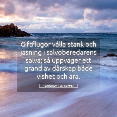 Picture 05 - Predikaren 10:1 SV1917 - Giftflugor vålla stank och jäsning i - Bible Verse Picture