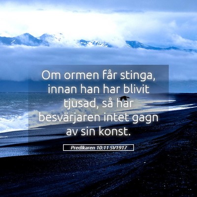 Picture 05 - Predikaren 10:11 SV1917 - Om ormen får stinga, innan han har blivit - Bible Verse Picture