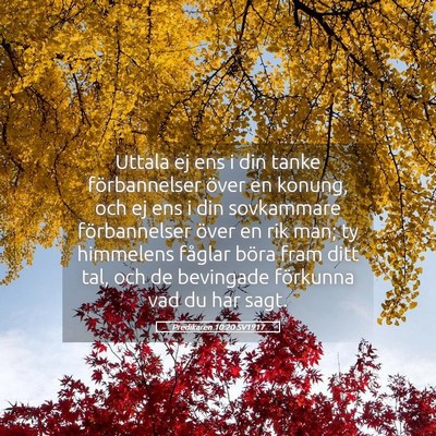 Picture 05 - Predikaren 10:20 SV1917 - Uttala ej ens i din tanke förbannelser över en - Bible Verse Picture