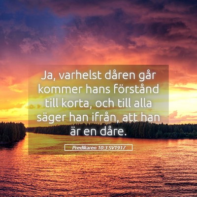 Picture 05 - Predikaren 10:3 SV1917 - Ja, varhelst dåren går kommer hans förstånd - Bible Verse Picture
