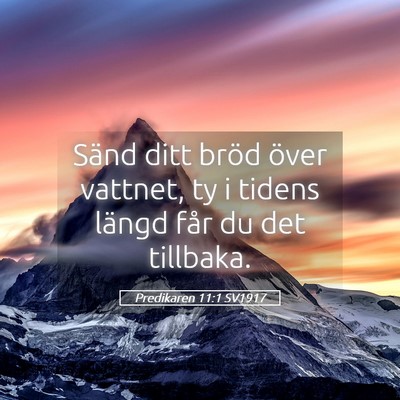 Picture 05 - Predikaren 11:1 SV1917 - Sänd ditt bröd över vattnet, ty i tidens - Bible Verse Picture