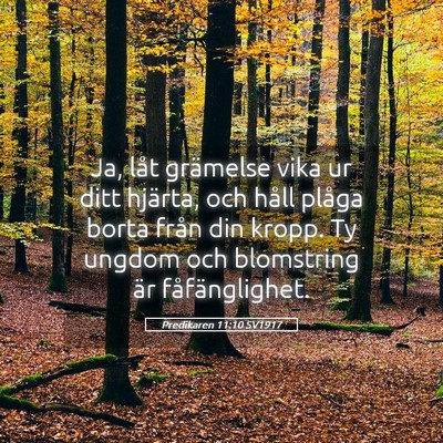 Picture 05 - Predikaren 11:10 SV1917 - Ja, låt grämelse vika ur ditt hjärta, och - Bible Verse Picture