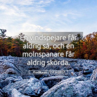 Picture 05 - Predikaren 11:4 SV1917 - En vindspejare får aldrig så, och en - Bible Verse Picture
