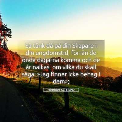 Picture 05 - Predikaren 12:1 SV1917 - Så tänk då på din Skapare i din ungdomstid, - Bible Verse Picture