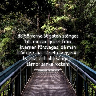 Picture 05 - Predikaren 12:4 SV1917 - då dörrarna åt gatan stängas till, medan - Bible Verse Picture